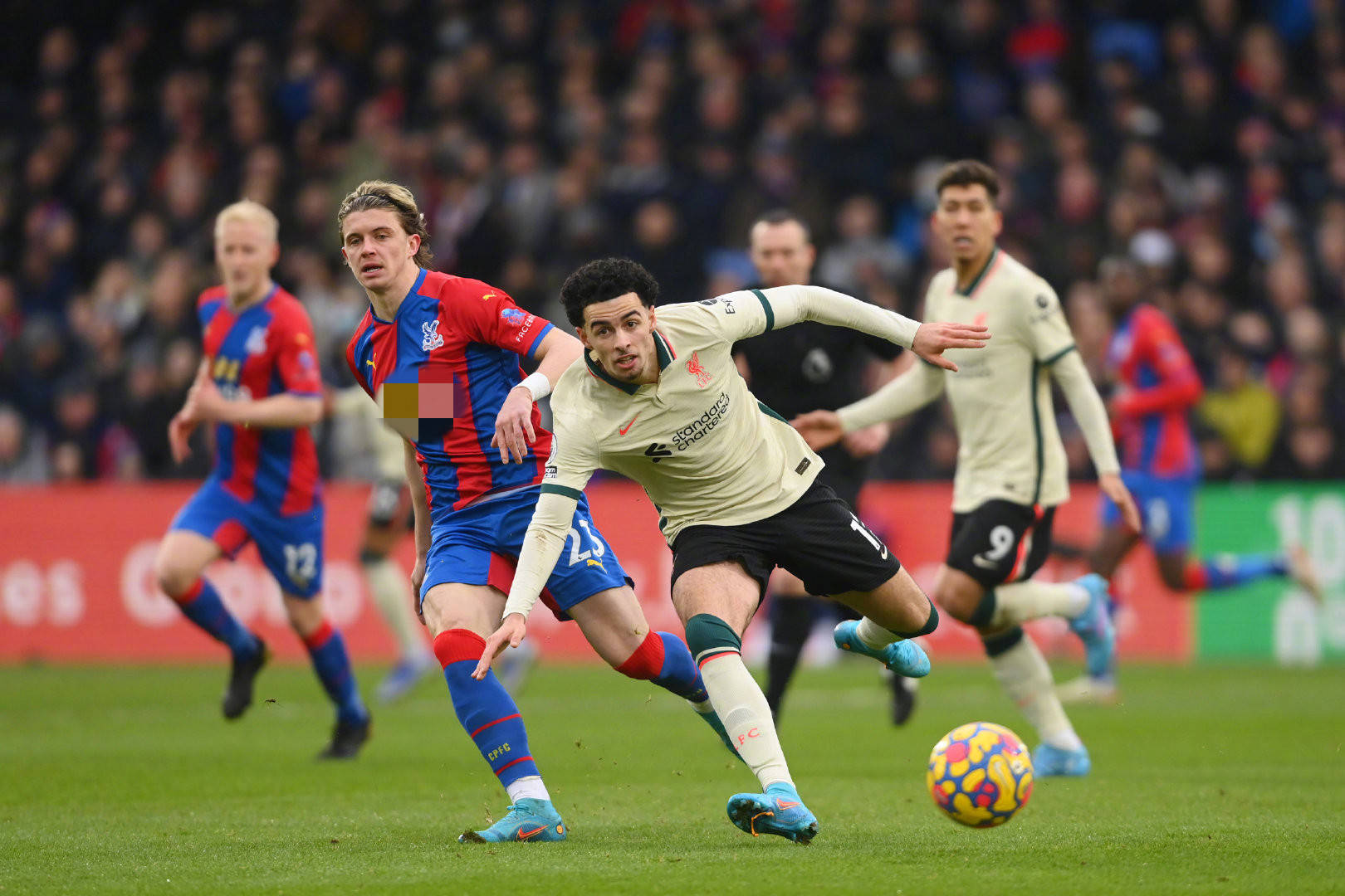 佩德里在场 佩德里在场